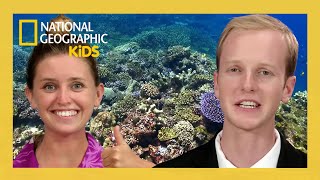 S02E07-Coral Reef Crazy