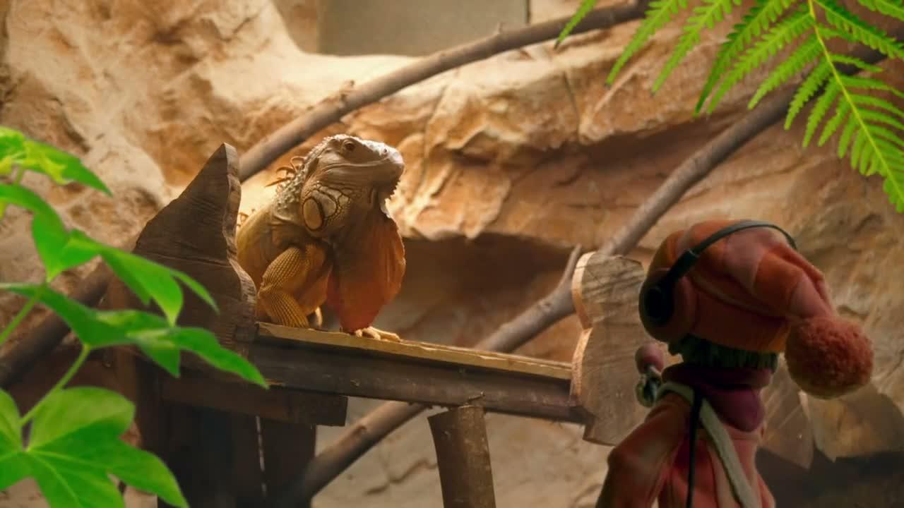 S01E52-Watch The Birdy
