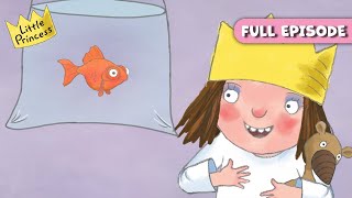 S04E16-Fish
