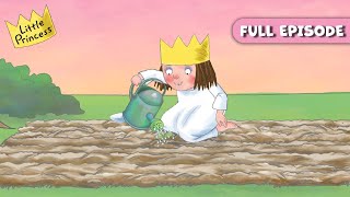 S04E20-Little Princess and the Sunflower