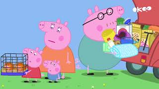 S07E38-Les cochons d Inde