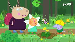 S08E20-Le bois de fleurs sauvages